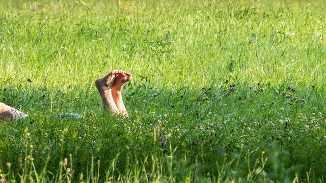 Konsumklima: Konsumstimmung bleibt auf niedrigem Niveau