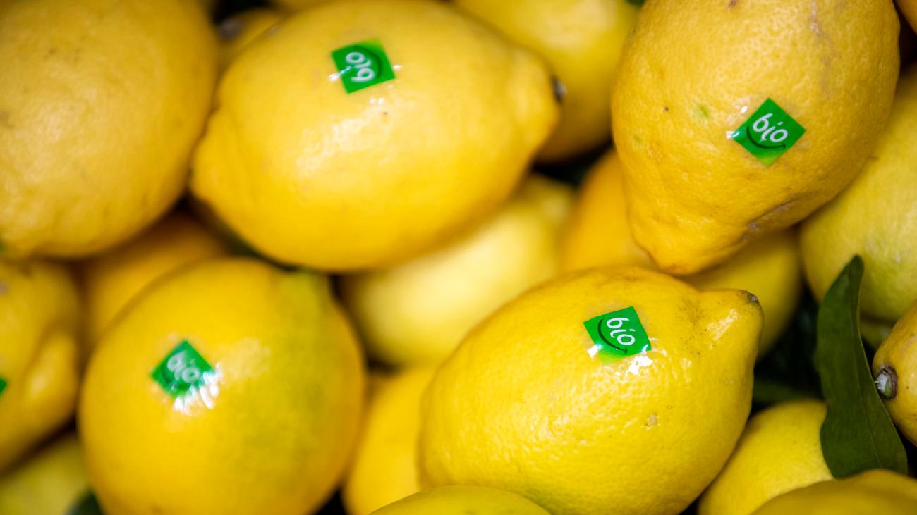 Bio-Lebensmittel: Erneut höhere Nachfrage nach Bio-Produkten