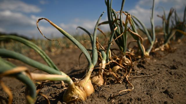Inflation: Erzeugerpreise verzeichnen stärksten Anstieg seit drei Jahren