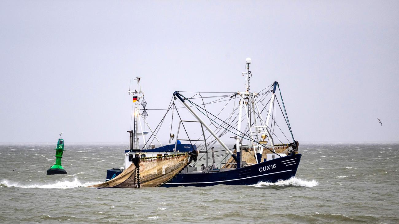 Küstenfischer an der Nordsee: Fischereibetriebe beantragen Unterstützung bei Betriebseinstellung