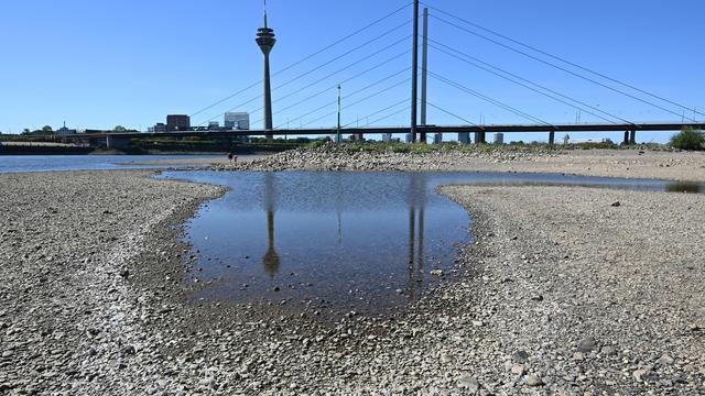 Niedrige Pegelstände: Binnenschifffahrt fordert wegen Niedrigwasser schnellere Maßnahmen