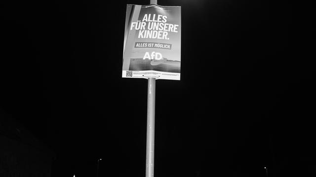 Folgen der AfD-Pläne: Wie gefährlich wird der Erfolg der AfD für die Wirtschaft?