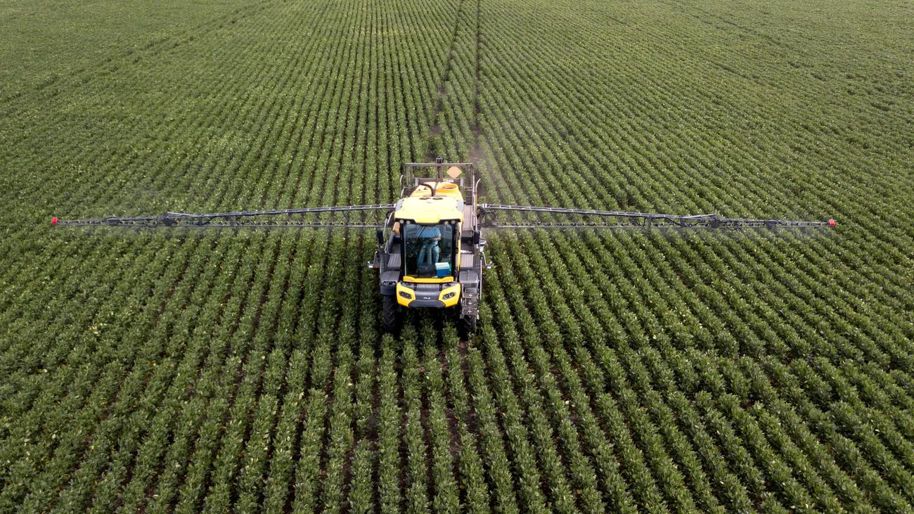 Glyphosat Bayer Aktie Verliert Nach Urteil Gegen Monsanto Zeit Online