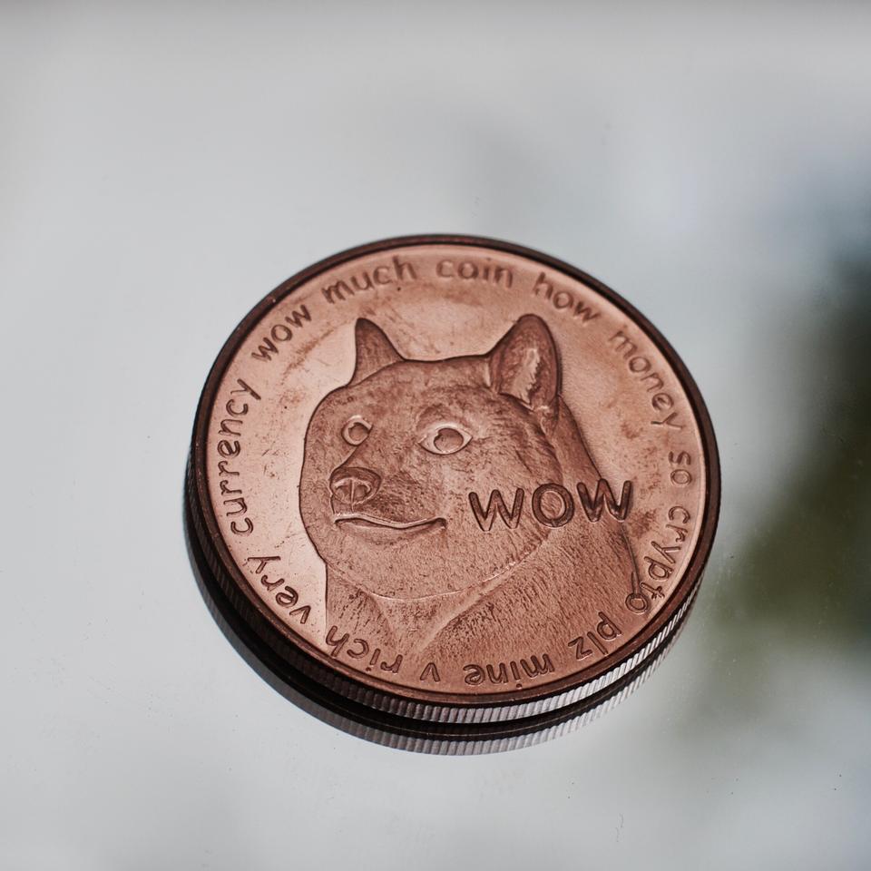 Dogecoin: Riskantes Investment mit der Hundewährung | DIE ZEIT