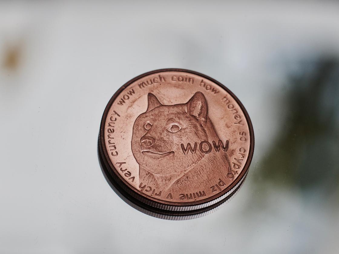 Dogecoin: Riskantes Investment mit der Hundewährung | DIE ZEIT
