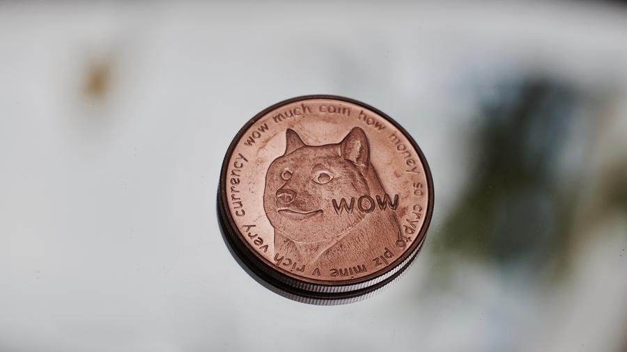 Dogecoin Riskantes Investment Mit Der Hundewahrung Zeit Online