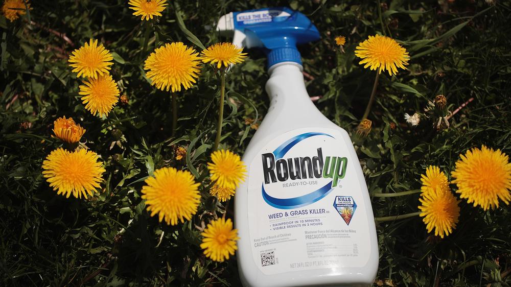 Glyphosat-Prozess: Bayer unterschtzt Amerikas Zeitgeist | DIE ZEIT
