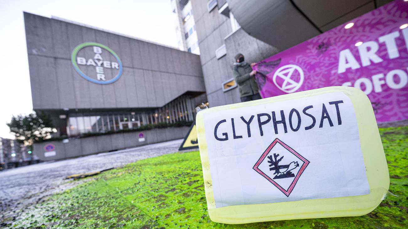 Dommages causés au glyphosate : Bayer perd devant la cour d’appel américaine concernant le glyphosate