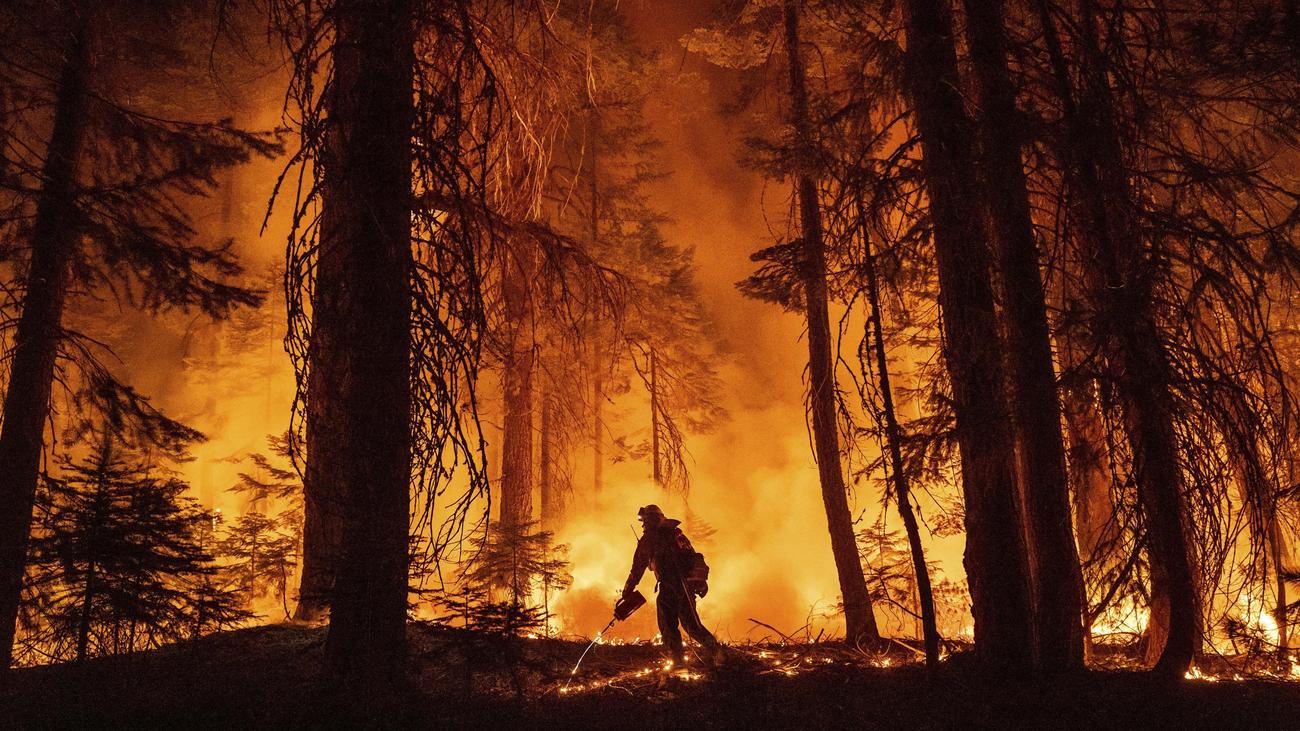 USA: Hunderte fliehen vor Waldbrand in Nordkalifornien | ZEIT ONLINE