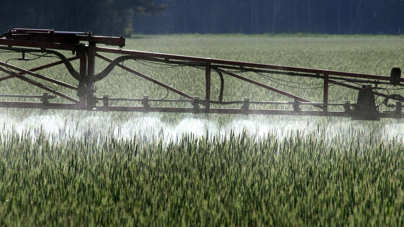 Unkrautvernichtungsmittel: Oberster Gerichtshof der USA uneins über Glyphosat-Klagen gegen Bayer