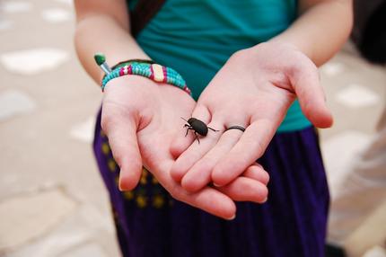 Gutmensch Helfer Käfer guter Mensch Sozialverhalten Hilfe