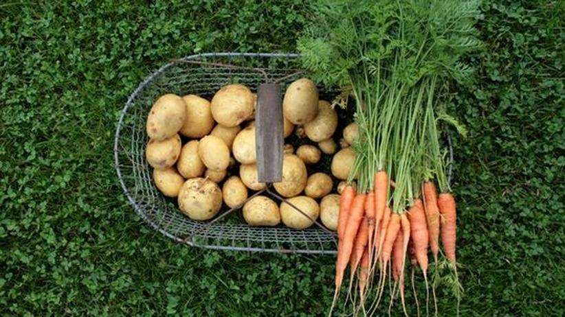 Umweltpsychologie: Grün kaufen, schlecht handeln | ZEIT ONLINE