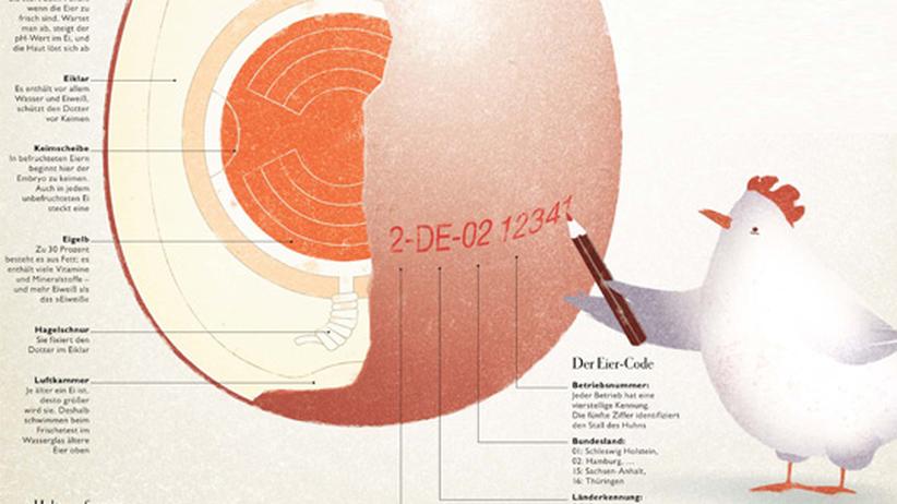 Infografik Ei, Ei, Ei ZEIT ONLINE