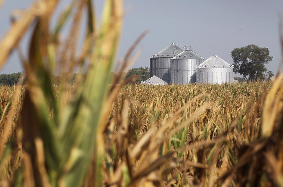 Messenger zuletzt online nicht sichtbar