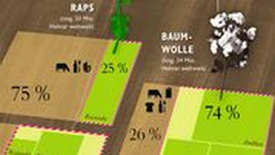künstlicher schilf Künstliches Schilf, grün-braun inkl. Ziertopf, braun main image 1