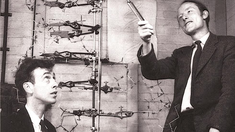 Francis Crick und James Watson Zwei Chaoten knacken die DNA ZEIT ONLINE