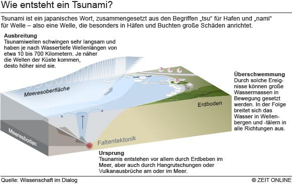 Tsunami 2004: Man hätte Stunden gehabt | ZEIT ONLINE