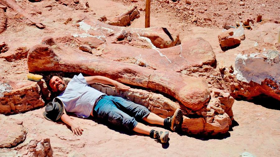 Größte zeiten der dinosaurier aller Größter affe