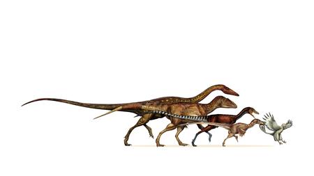 Evolution Wie Rasant Dinos Zu Vogeln Schrumpften Zeit Online