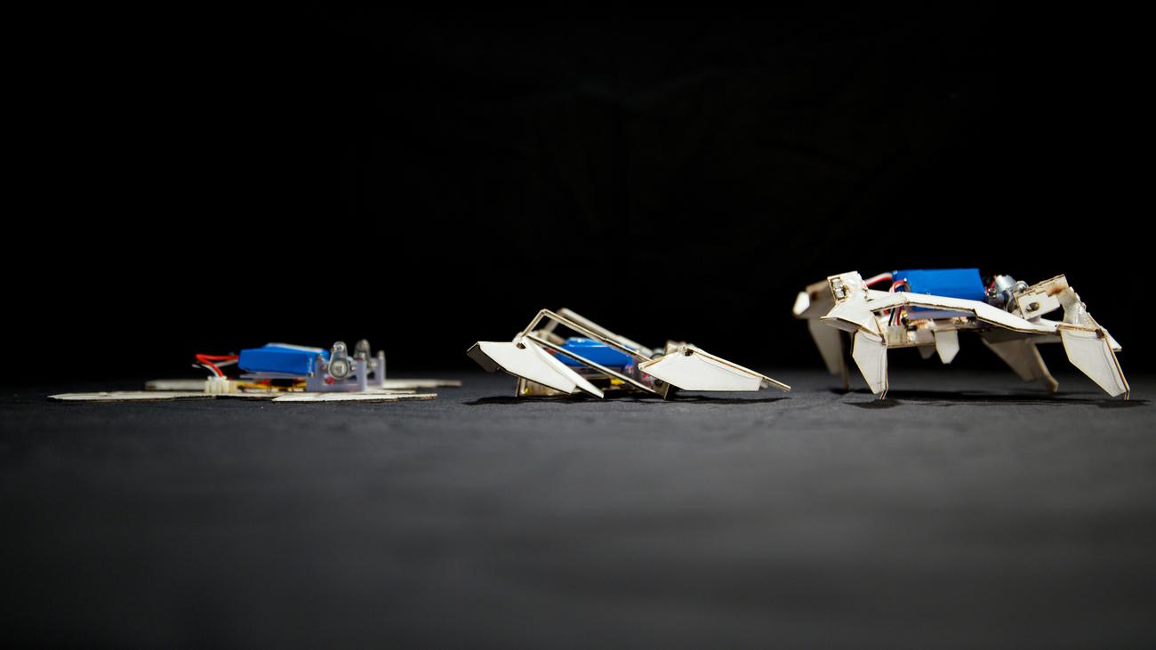 Origami Ein Roboter Aus Eselsohren Und Falten Zeit Online