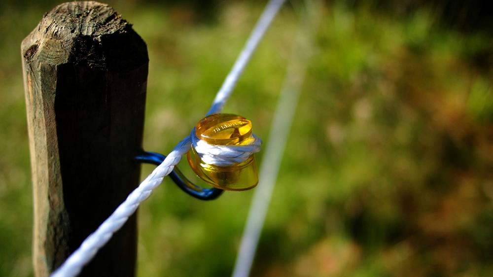 Stimmt's Bekommt einen Schlag, wer auf einen elektrischen Weidezaun