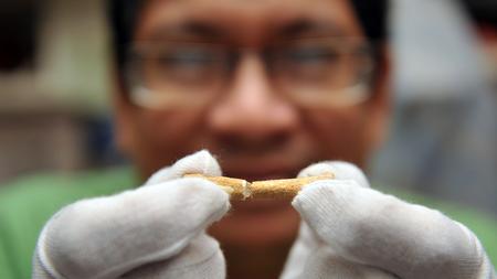 Menschheit War Der Mensch Schon Vor 700 000 Jahren In Sudostasien