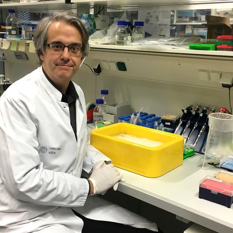 Nierenspezialist Bernhard Schermer