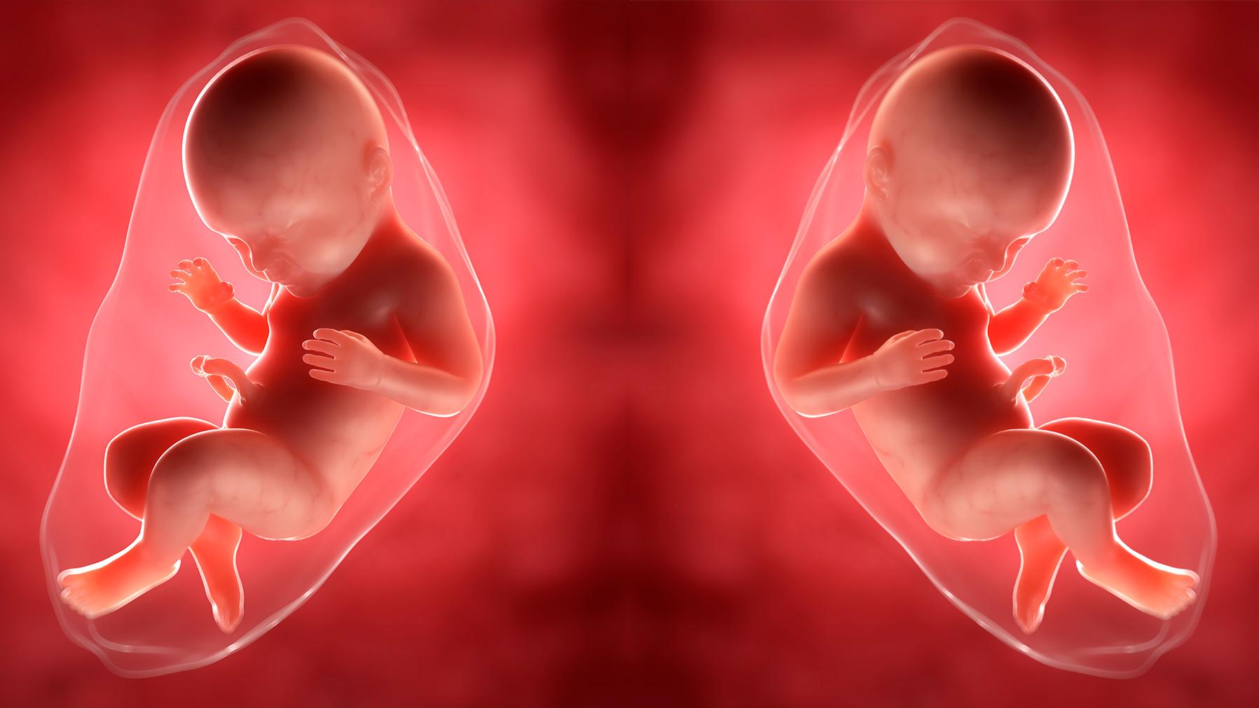 Crispr: Crispr könnte es möglich machen, dass bei Embryonen Gene gezielt entfernt, geschädigt oder hinzugefügt werden.