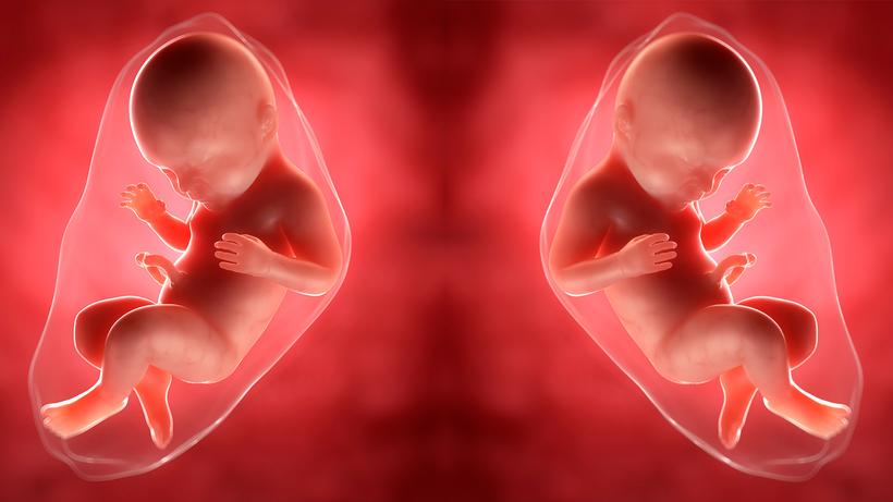 Crispr: Crispr könnte es möglich machen, dass bei Embryonen Gene gezielt entfernt, geschädigt oder hinzugefügt werden.