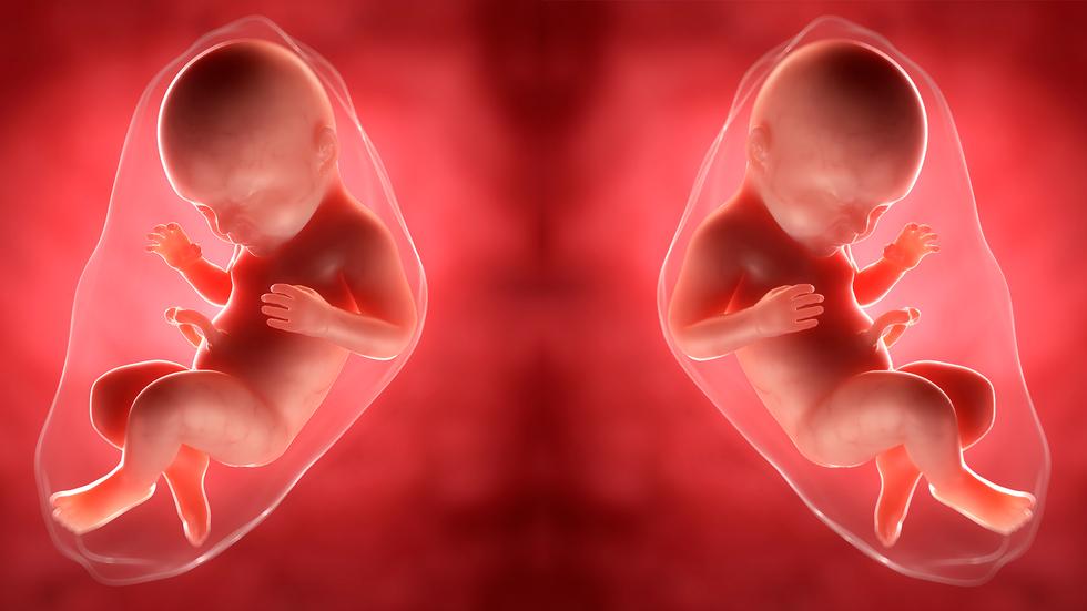 Crispr: Crispr könnte es möglich machen, dass bei Embryonen Gene gezielt entfernt, geschädigt oder hinzugefügt werden.