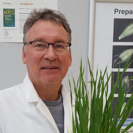 Nutzpflanzenforscher Karl-Heinz Kogel