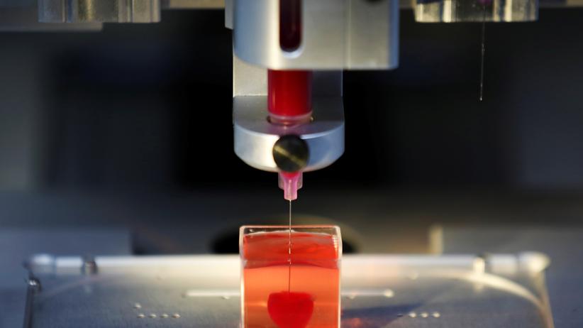 3 D Drucker Israelische Forscher Drucken Herz Aus Menschlichem Gewebe Zeit Online