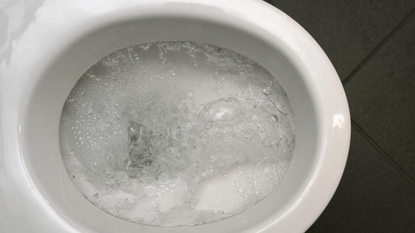 Produktinnovation: Mit einer funktionierenden Kanalisation wurde der europäische "Porzellanstandard" im 20. Jahrhundert weltweit zum Maß aller Dinge. 