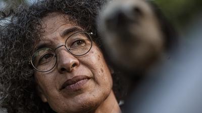 Monique Pool Als Haustiere Absolut Ungeeignet Zeit Online