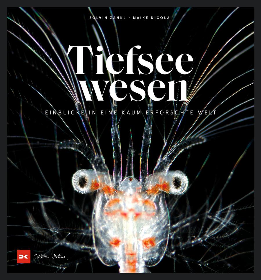 Von Schwänzen Fasziniert Von Schwänzen Fasziniert