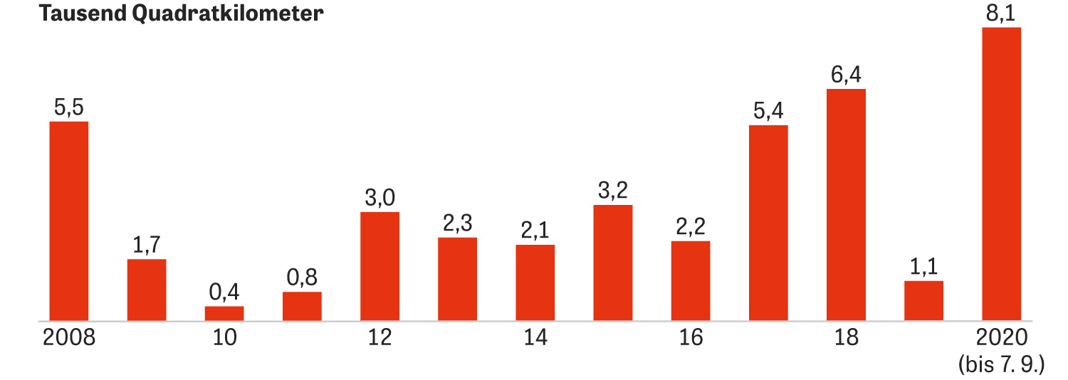Waldbrände in Kalifornien In Flammen ZEIT ONLINE