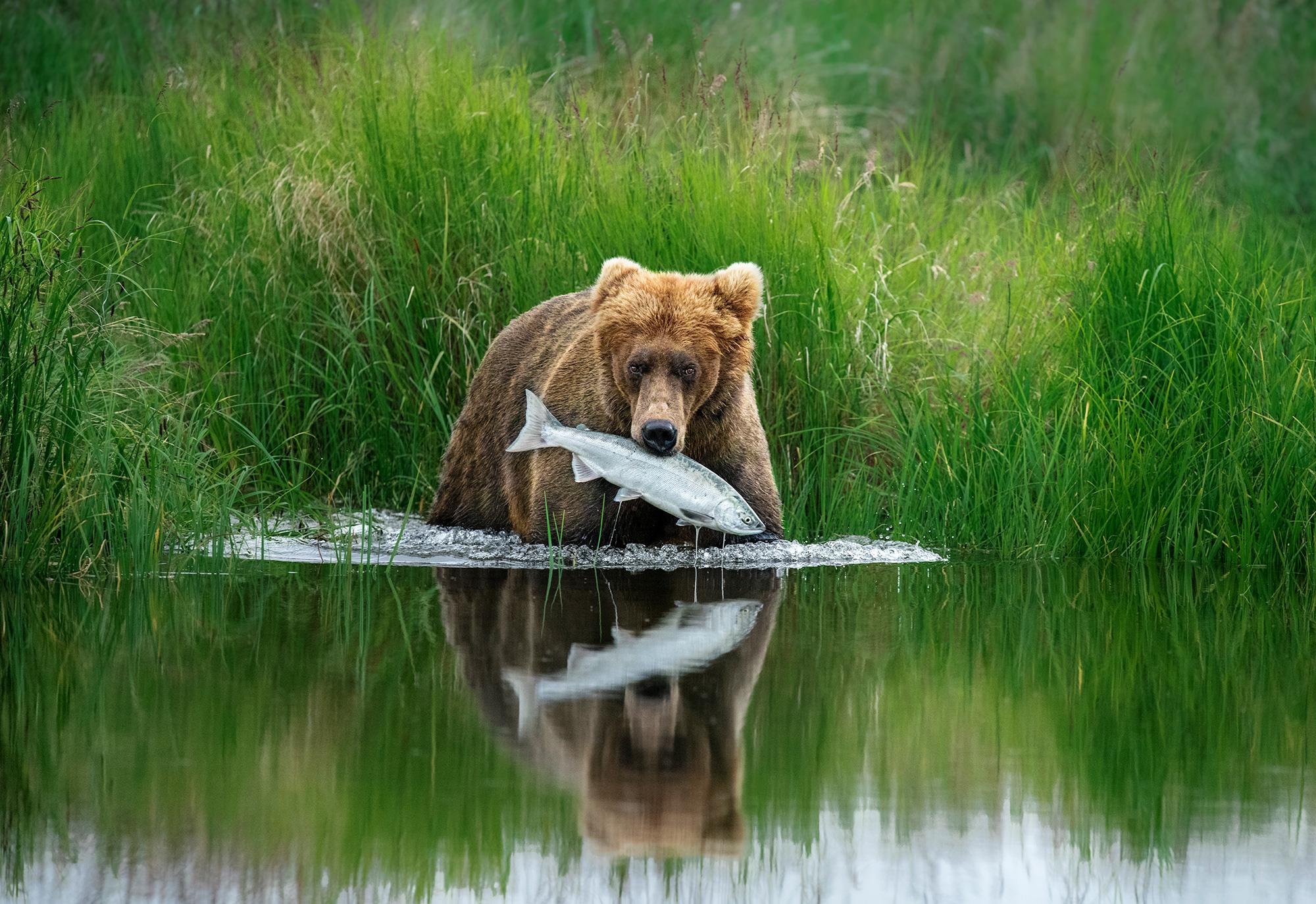 Tierfotos des Jahres: Wilder wird's nicht | ZEIT ONLINE