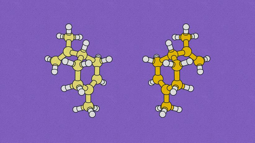 Nobelpreis für Chemie: Ein Molekül entfernt von Magie