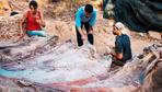 Portugal: Forscher untersuchen womöglich weltgrößtes Dinosaurierskelett