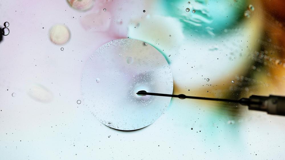Knstliche Embryonen: Embryonenzucht, next Level | DIE ZEIT