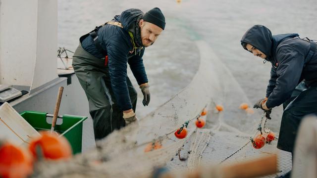 Fischsterben in der Oder: Fischen nach Überlebenden