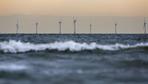 Windkraft: Niederlande halten Offshore-Windräder wegen Vogelzugs zeitweise an