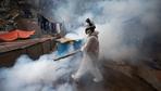 Tropische Stechmücken: WHO besorgt wegen Ausbreitung des Denguevirus