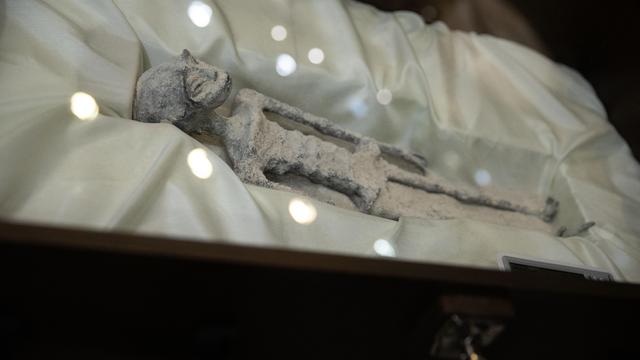 Alien-Mumien: Außerirdische kapern Mexikos Parlament
