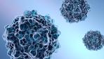 Virusinfektion: Mediziner warnen vor Anstieg von Ringelrötel-Infektionen