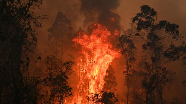 Klimawandel: Wo extreme Waldbrände häufiger werden