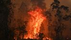 Klimawandel: Wo extreme Waldbrände häufiger werden