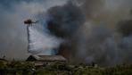 Griechenland: Auf Kreta, Kos und Chios kämpfen Feuerwehrleute gegen Brände