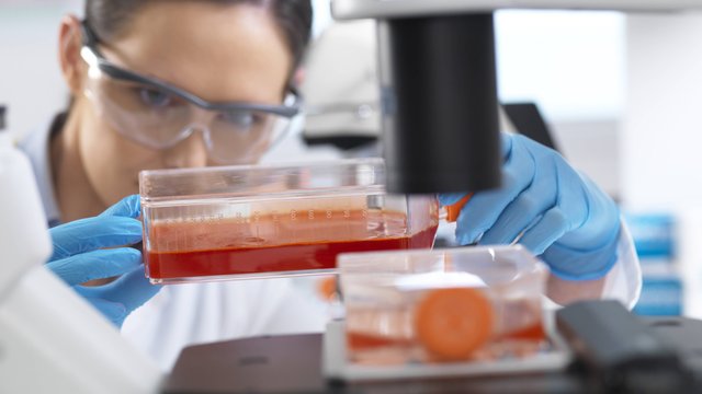 Forschung: Forschungsministerin will Gesetz zur Embryonalforschung überarbeiten