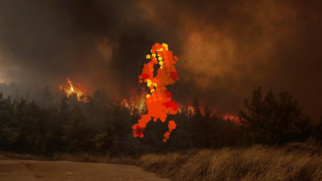 Waldbrände in Griechenland: Es bleibt nur die Flucht vor dem Feuer